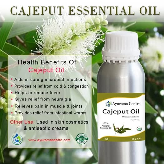 Cajeput Essential Oil